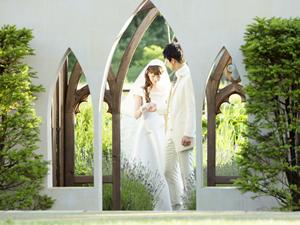 ディズニーの美しく世界観ある指輪