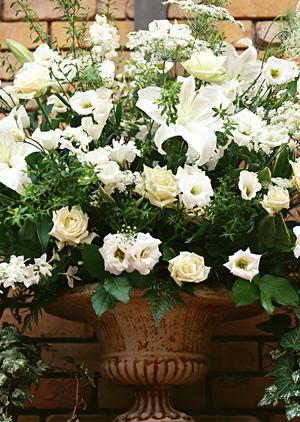 結婚指輪を扱っている大阪のお店